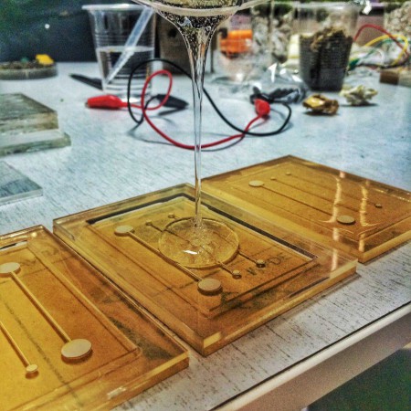 Microfluidics (2015)