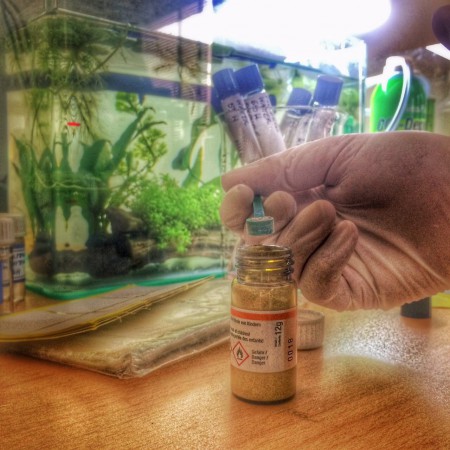 Bio Factory and Synthetic biology (2015)